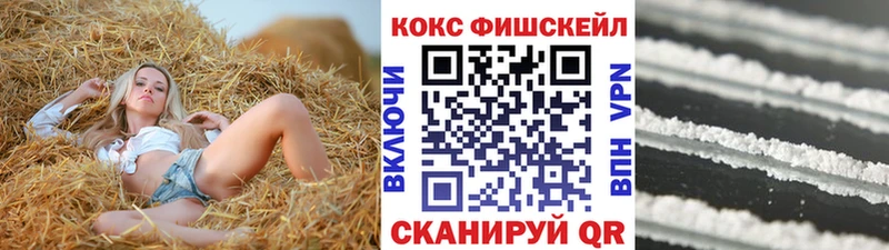 Купить где  Городовиковск  Кокаин Fish Scale 
