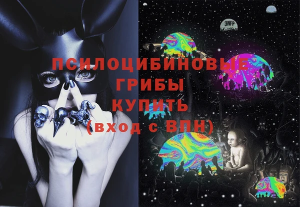 индика Корсаков