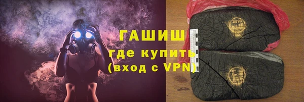 индика Краснослободск