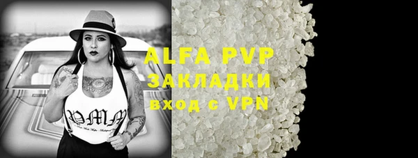 индика Краснослободск