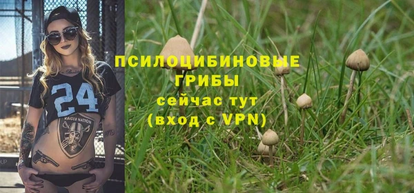 гидропоника Краснотурьинск