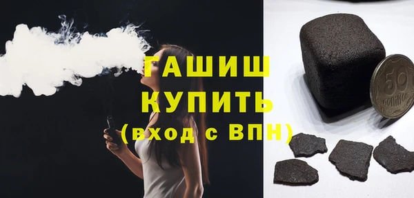 индика Краснослободск