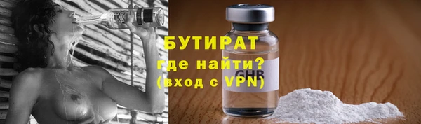 индика Краснослободск