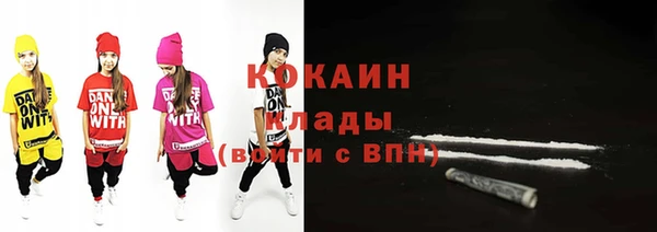 индика Краснослободск