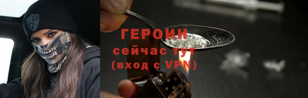 индика Краснослободск