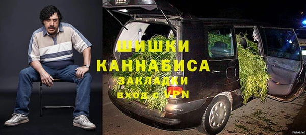 индика Краснослободск