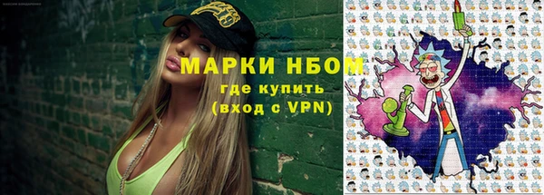 индика Краснослободск