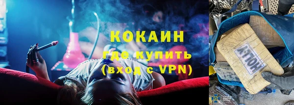 индика Краснослободск