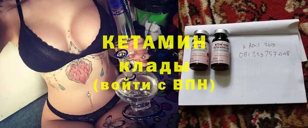 индика Краснослободск