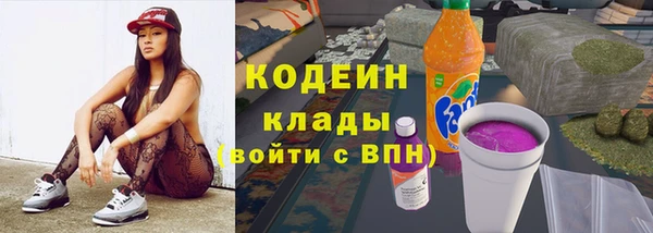 индика Краснослободск