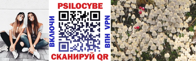 Галлюциногенные грибы Psilocybine cubensis  Купить где  Городовиковск 